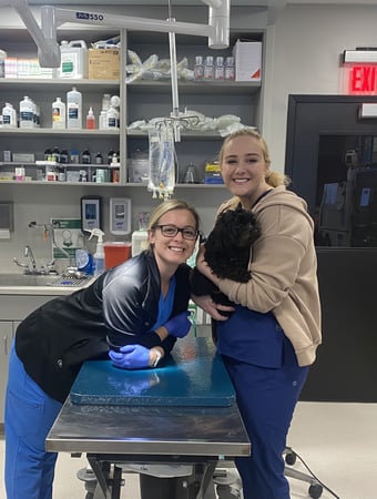 Images Shrewsbury Animal Hospital