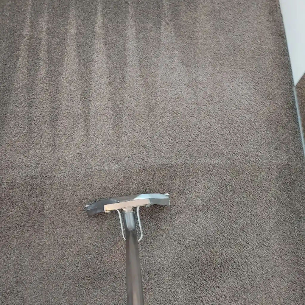 Images Titanium Cleaning