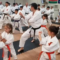 The Woodlands Shotokan Karate Image