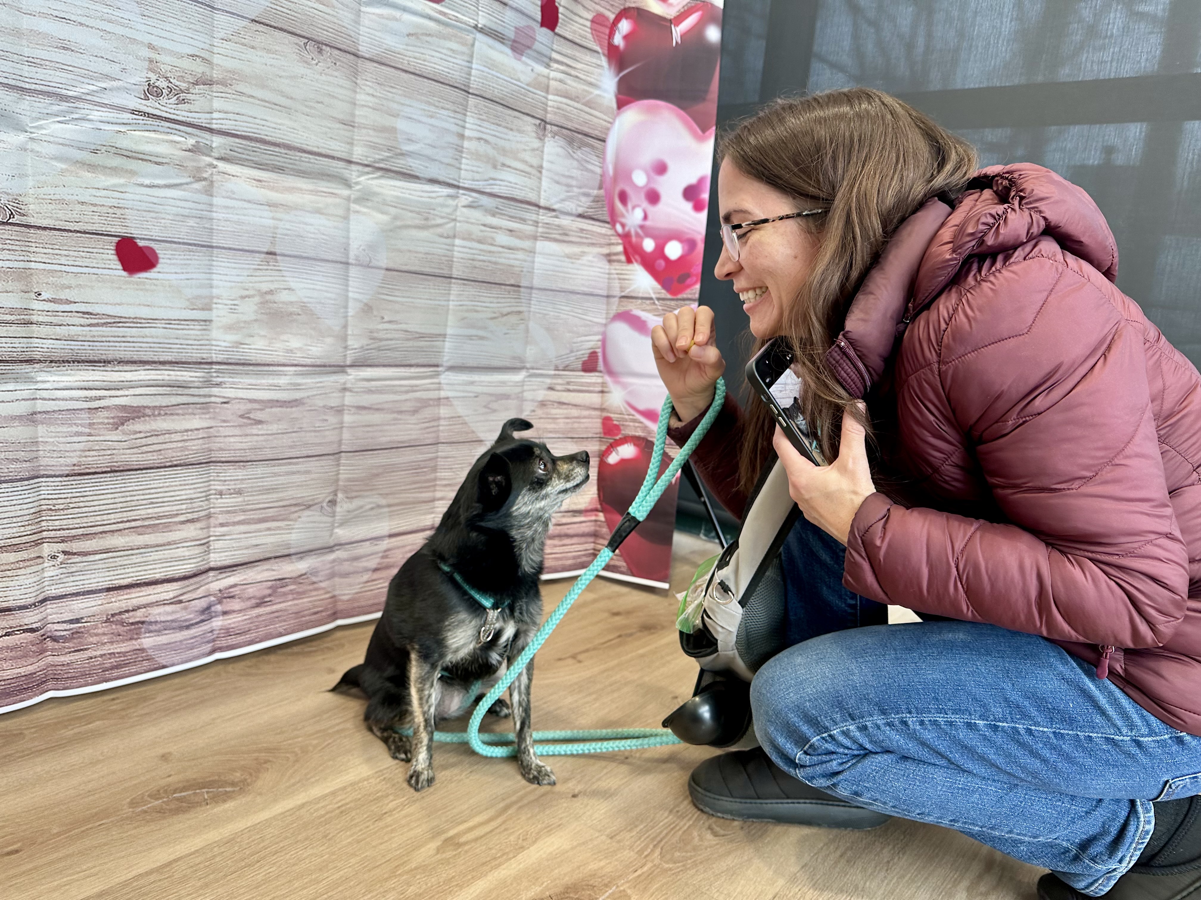 CityVet | Carmel dog client!