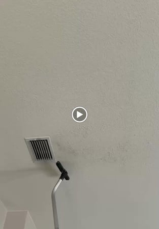 Images Wow Now Cleaning - Tampa