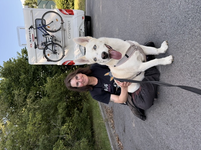 Hundeschule DogGeeks® TonCane: Online & Mobil, Voßbarg 23 in Seevetal