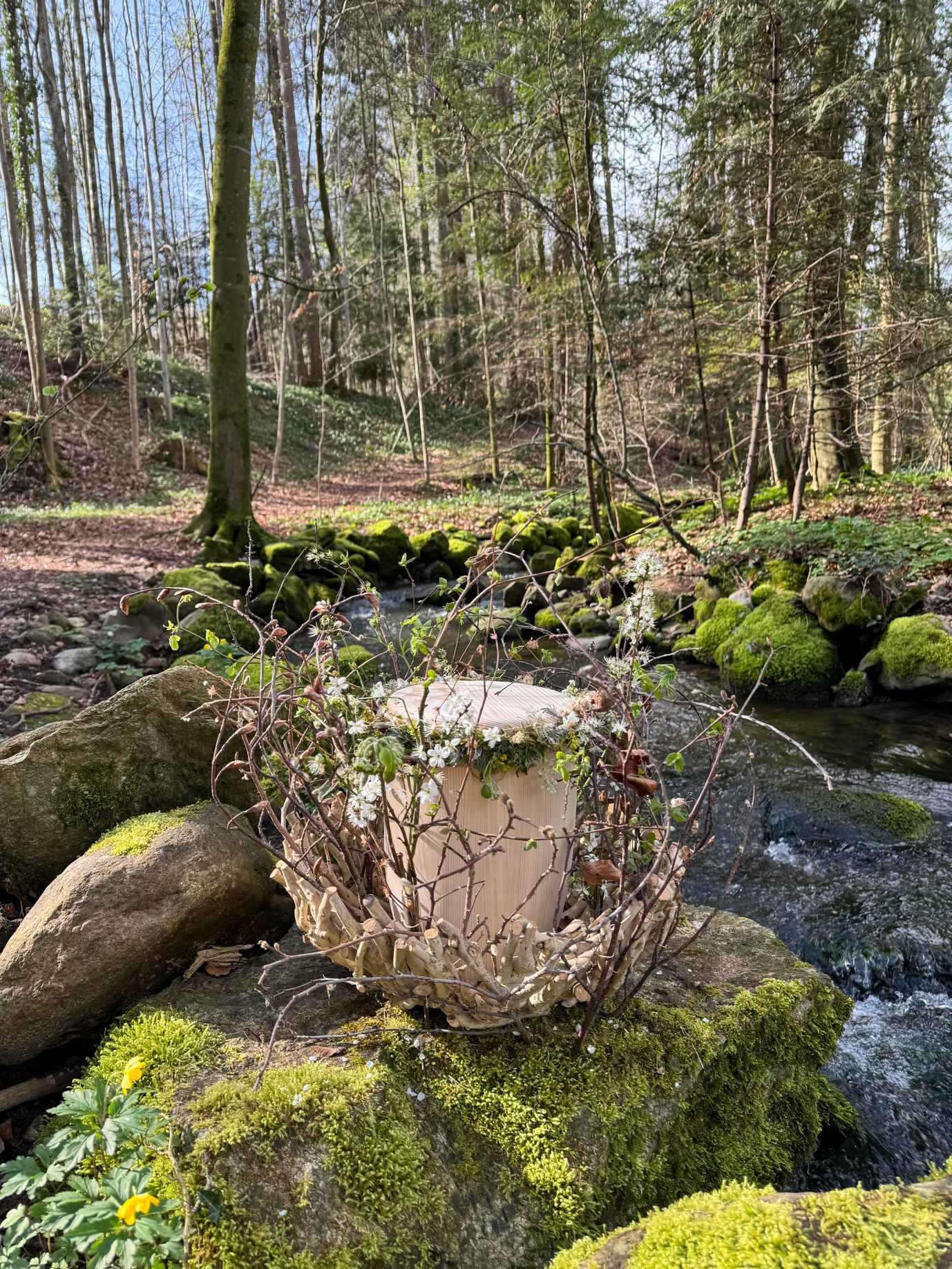 Bilder In Memoria Bestattungen GmbH