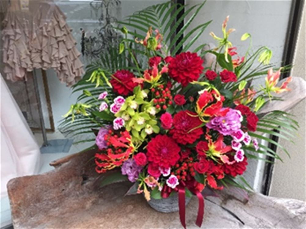 Images 花年
