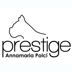 Prestige Boutique Logo