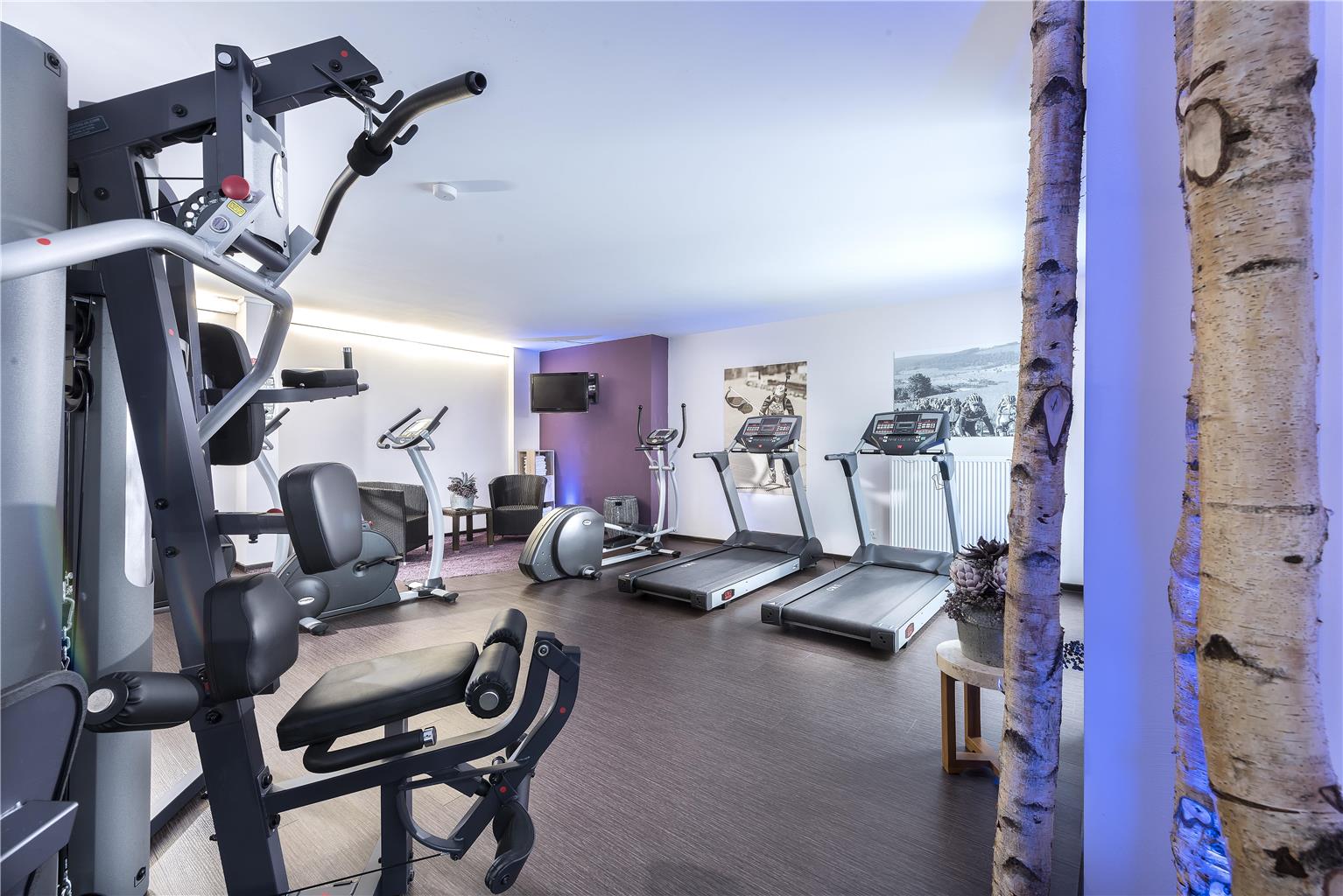 Best Western Plus Hotel Willingen, Briloner Strasse 56 in Willingen