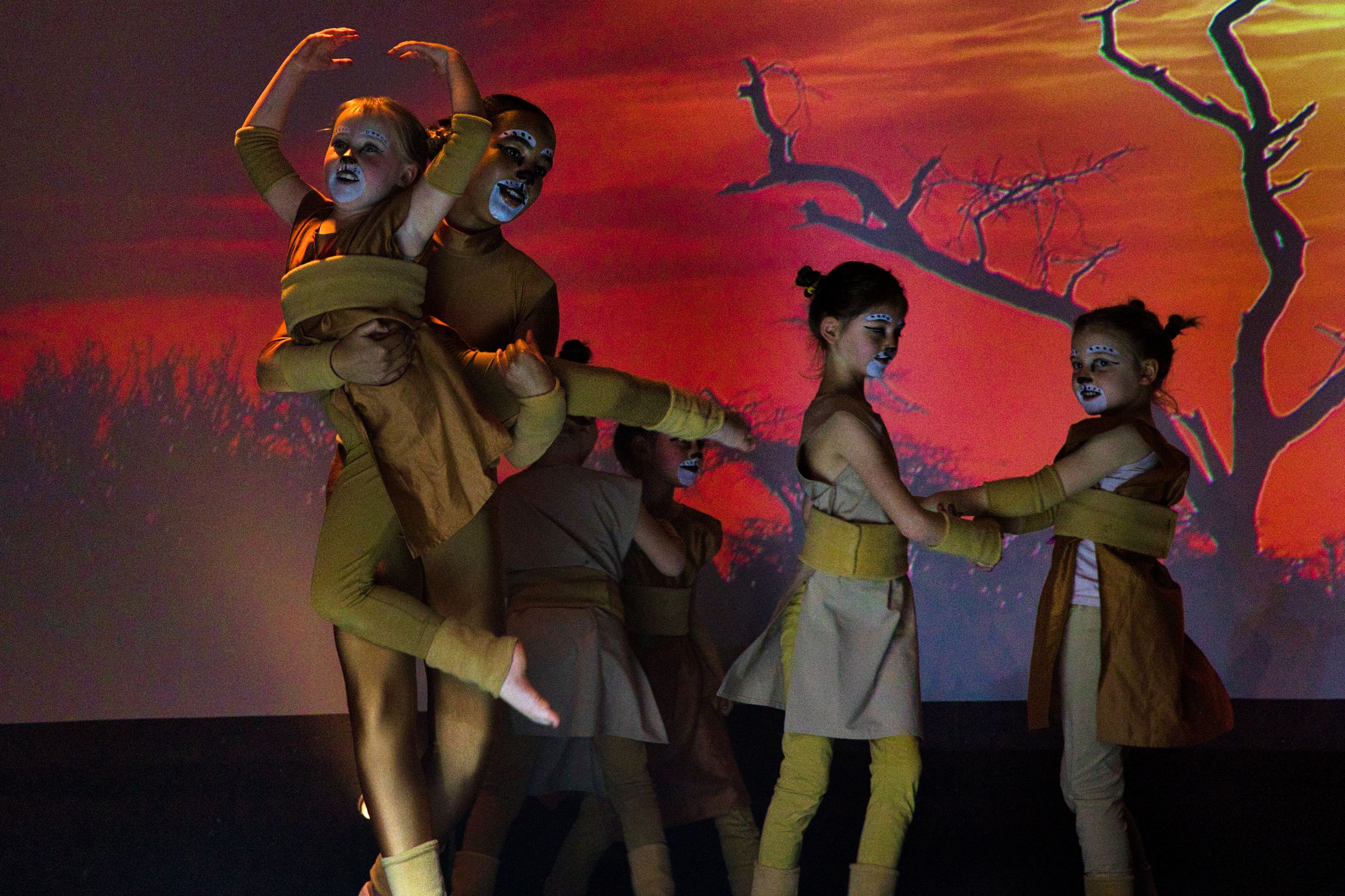 Bilder Dance Gallery