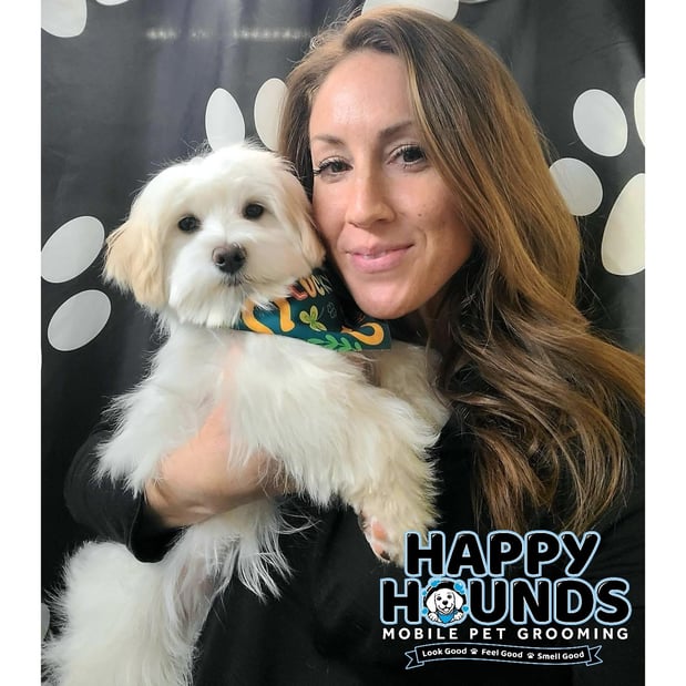 Images Happy Hounds Mobile Pet Grooming