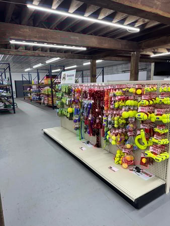 Images Morgans Hungry Pets