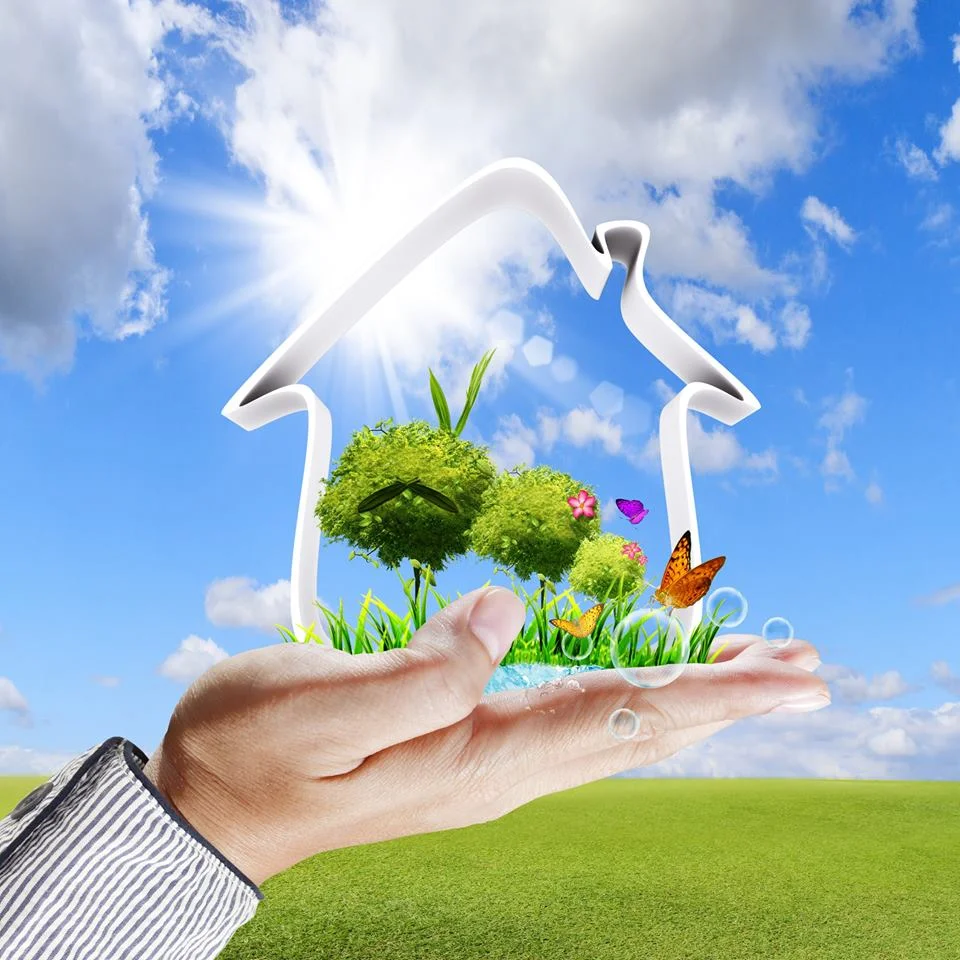A person's hand is holding a miniature landscape inside a house outline. The landscape features green trees, grass, flowers, butterflies, and water droplets. The background is a bright blue sky with clouds and the sun shining brightly.