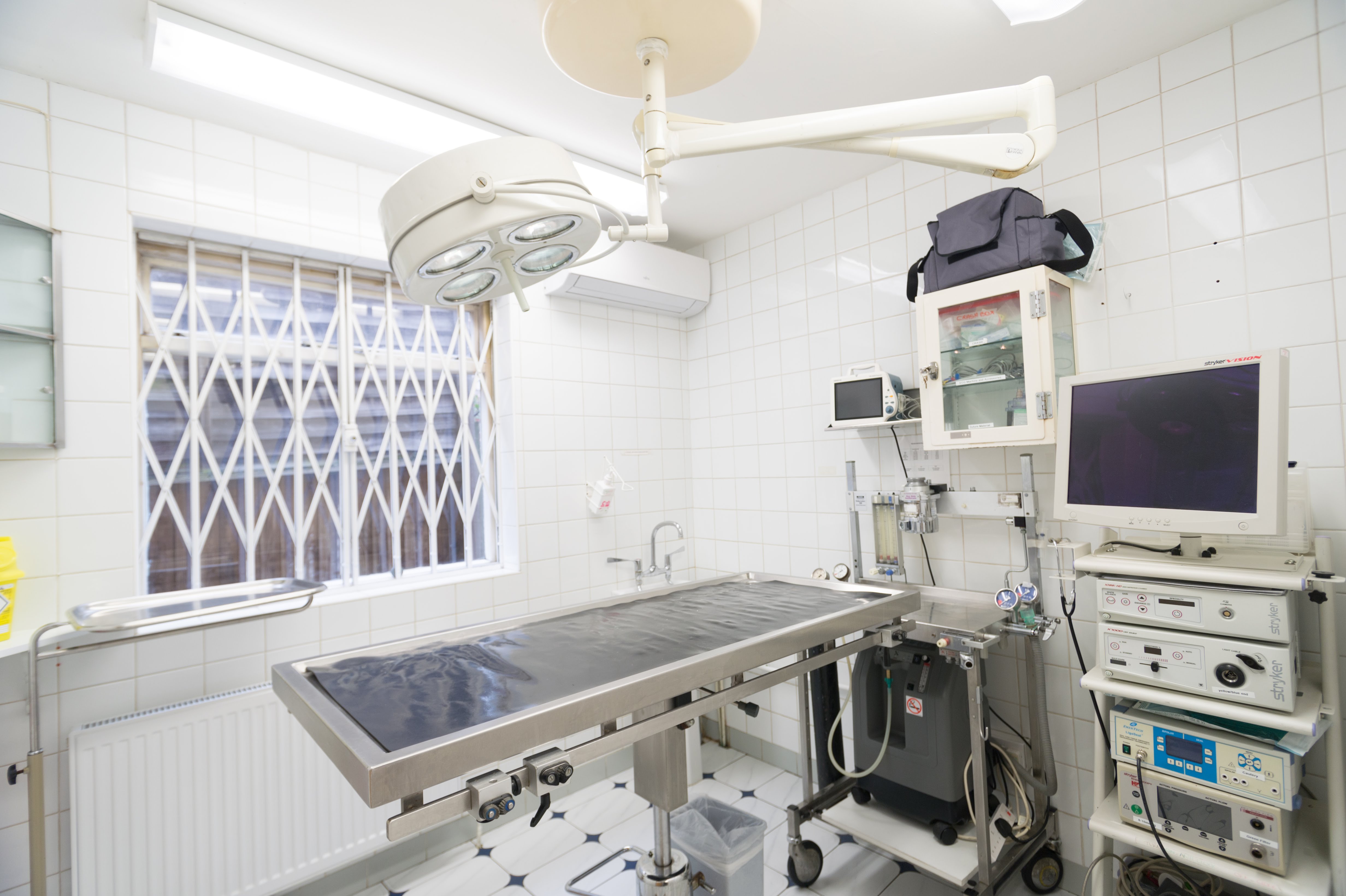 Images Streatham Hill Veterinary Surgery