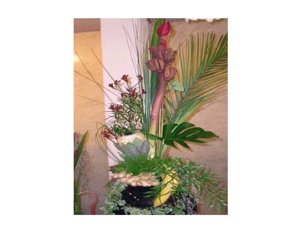 Kundenbild groß 3 Blumen Kumfert