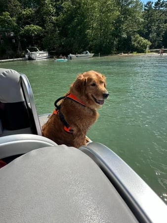 Images Michelle Belesky - State Farm Insurance Agent