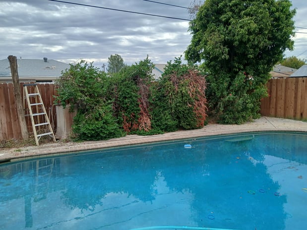 Images Crisa Landscaping