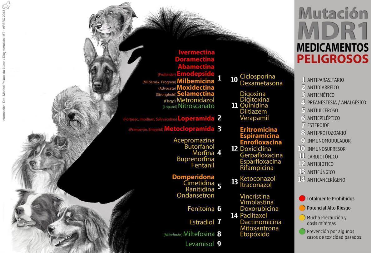 Images Centro Veterinario Zorrilla