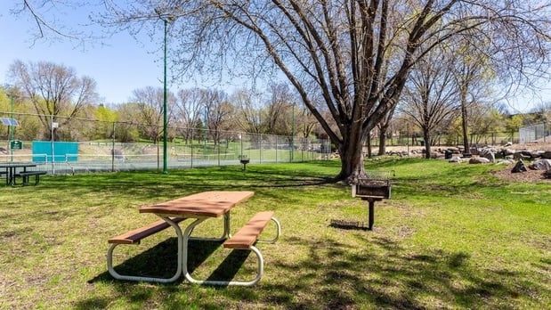 Images ReNew at Neill Lake