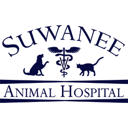 Suwanee Animal Hospital