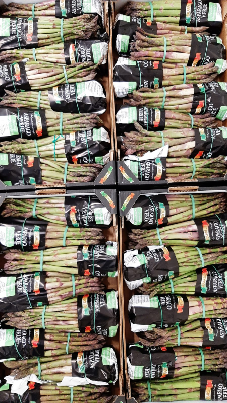 Images Il Meglio Del Meglio