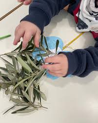 Images Asilo Nido Tutti Giù per Terra