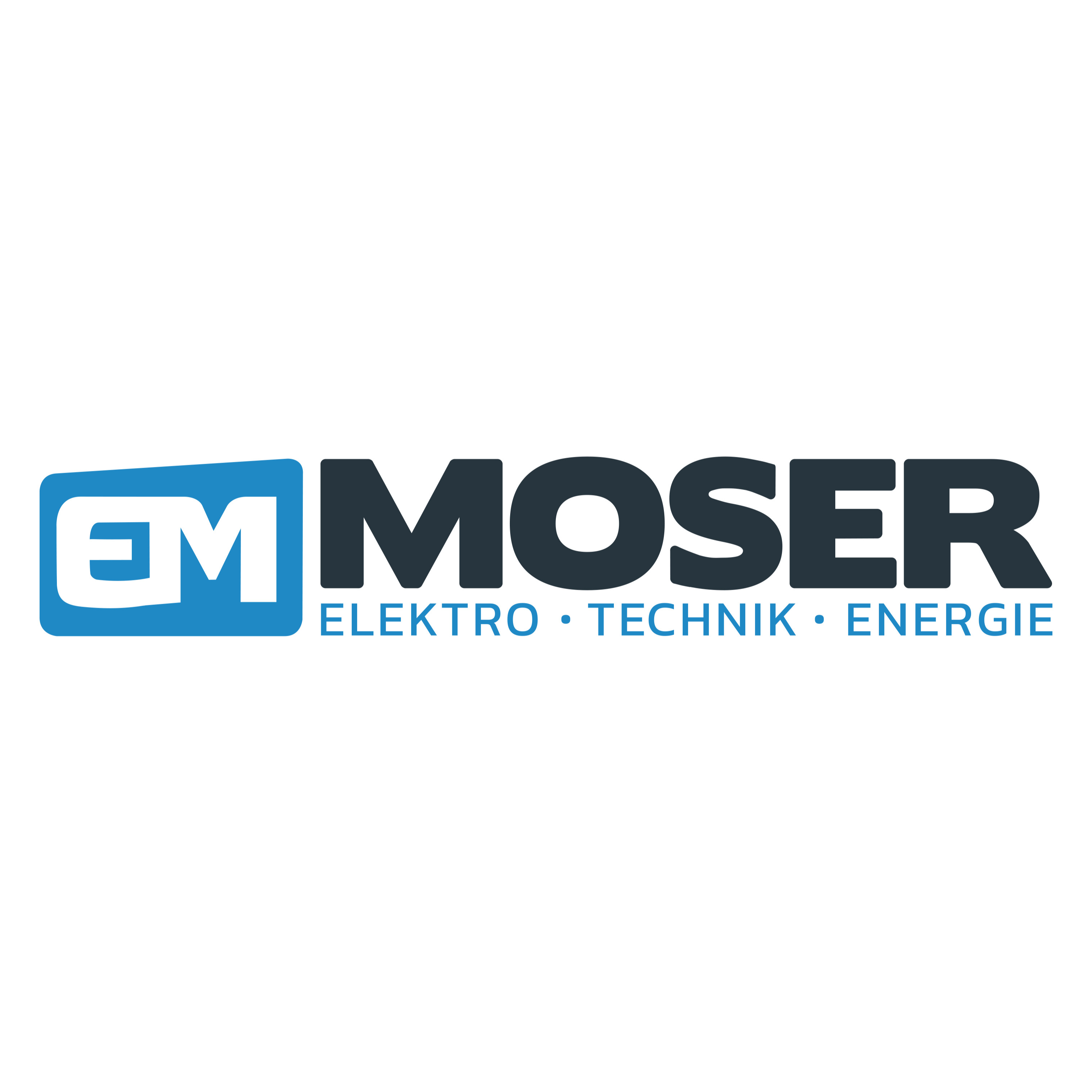 EM Moser GmbH Logo
