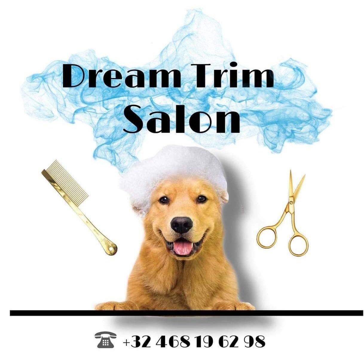 Dream Trim Logo
