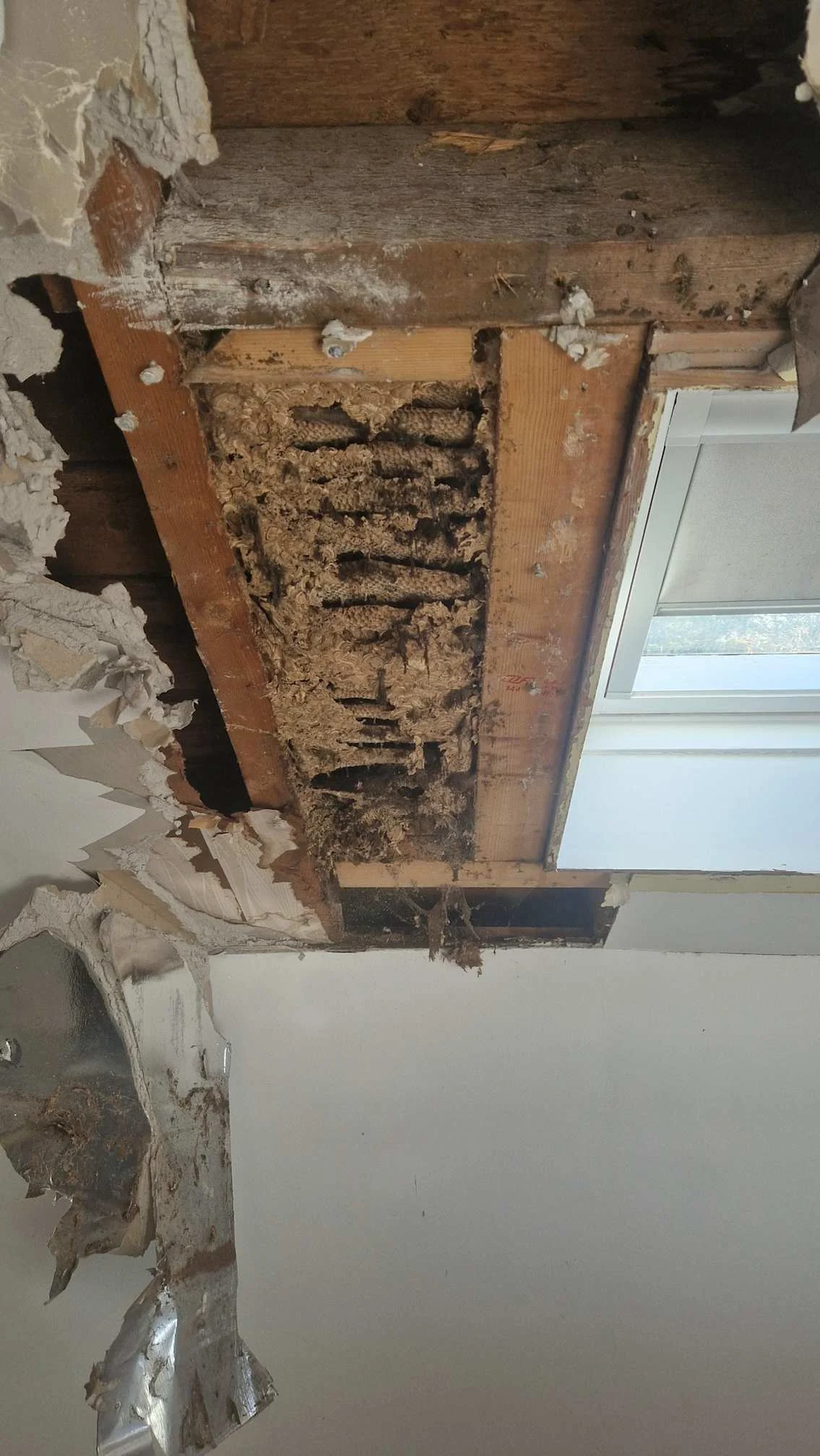 Images Whole House Insulation Ltd