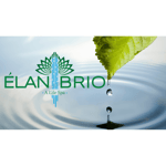 Elan Brio Spa Logo
