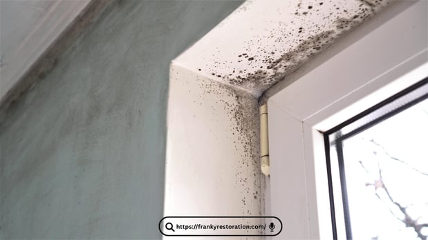 Images Mold Remediation Miami Lakes