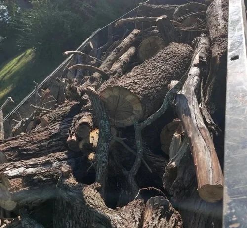 Images Moss Creek Landscaping