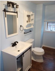 Ace Handyman Services Rochester South and East bathroom