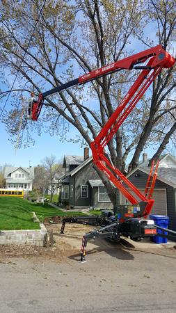 Images Twin City Tree Service