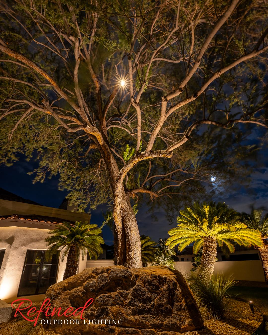 Downlighting for landscape lighting in Paradise Valley