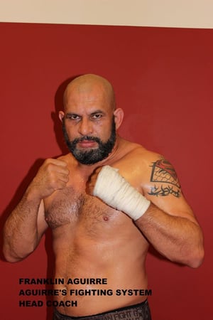 Images Aguirre's Fighting System