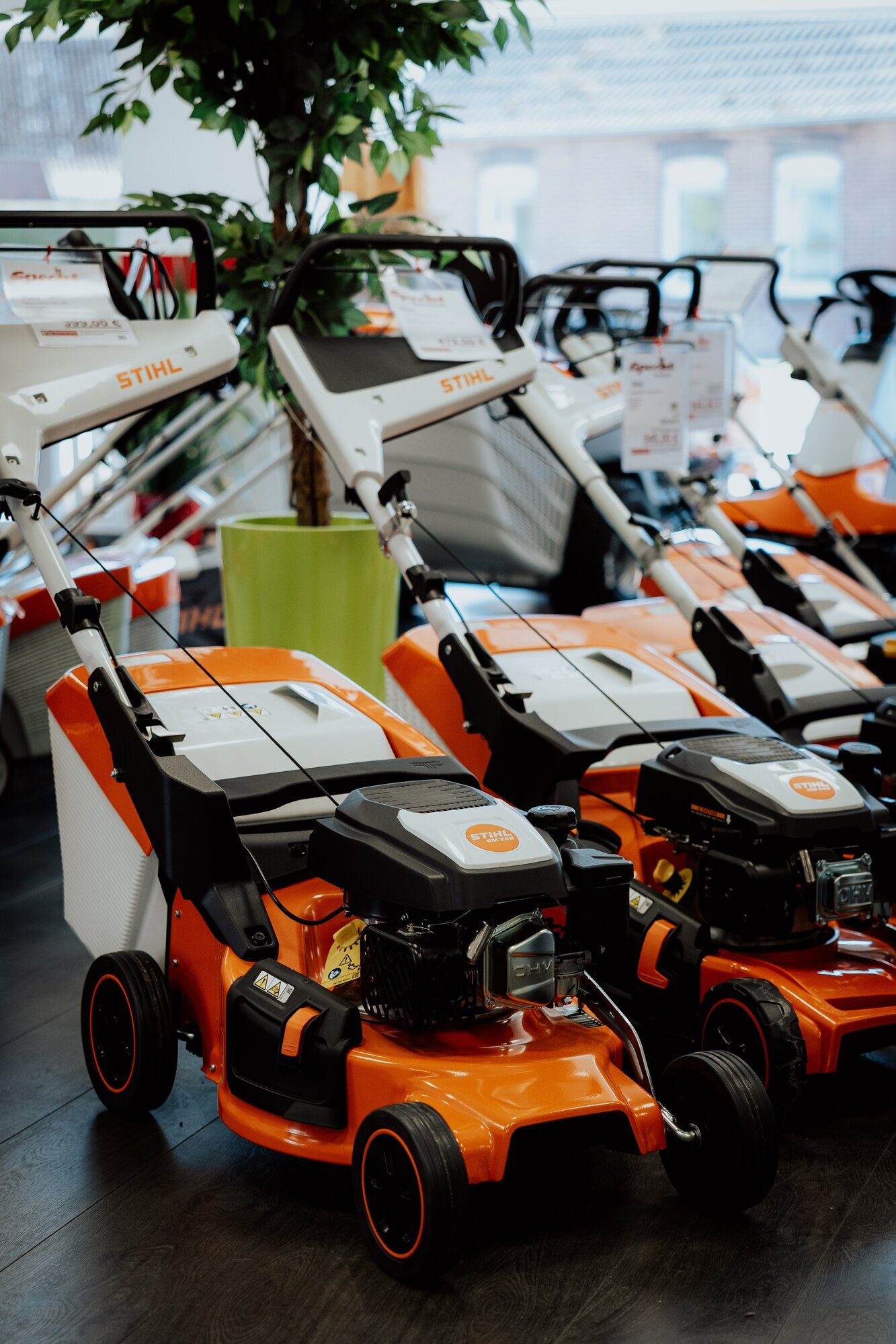 Specht Reepsholt e. K., Reepsholter Hauptstraße 17 in Friedeburg