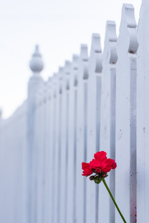 Resilient Fences Photo