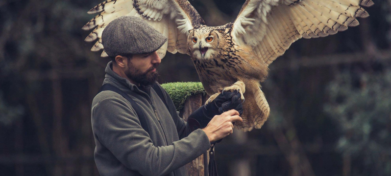 Images Luca Amato Falconiere
