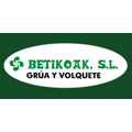 Betikoak S.L. Grúas y Volquetes Logo