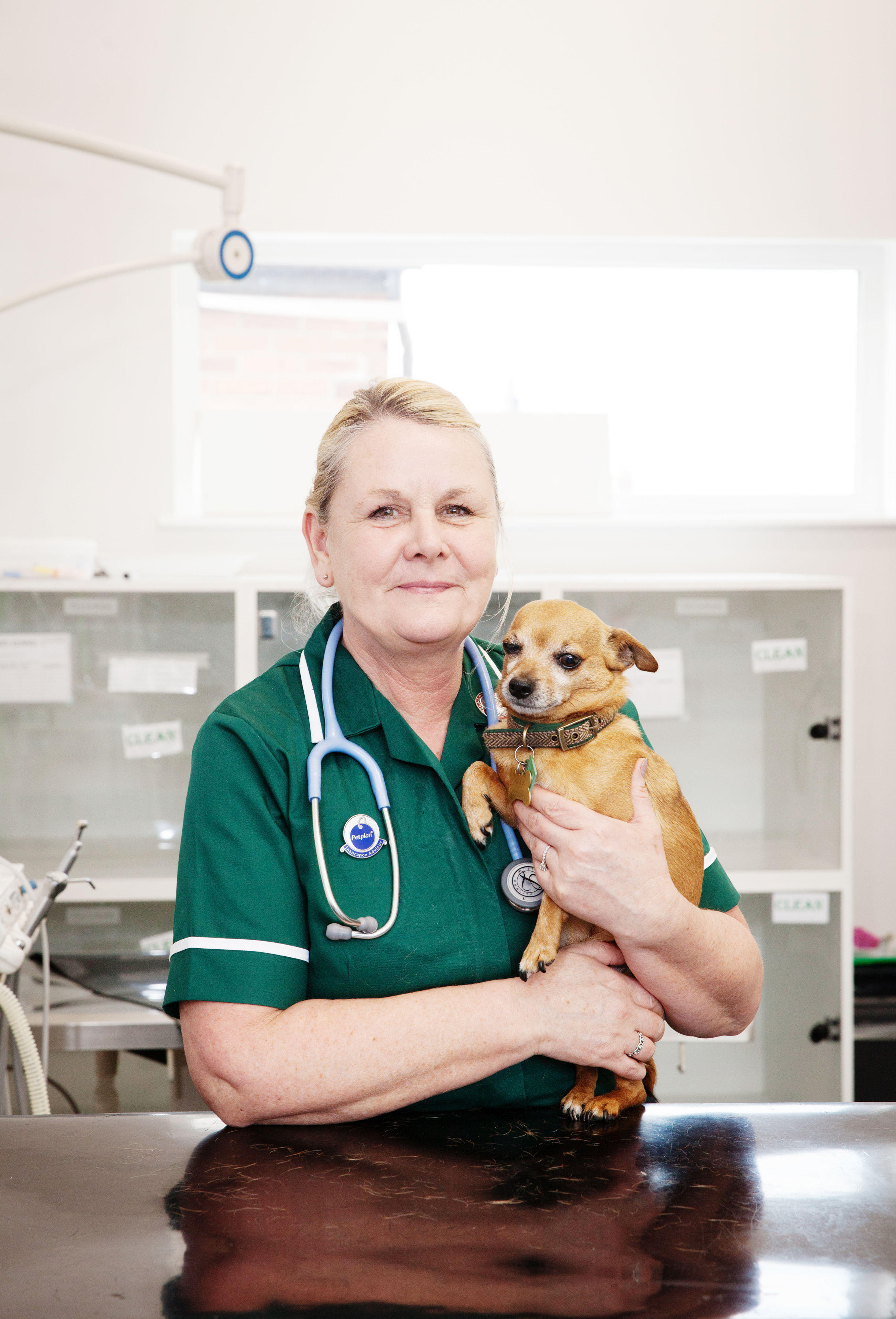 Images Westway Veterinary Group, Houghton