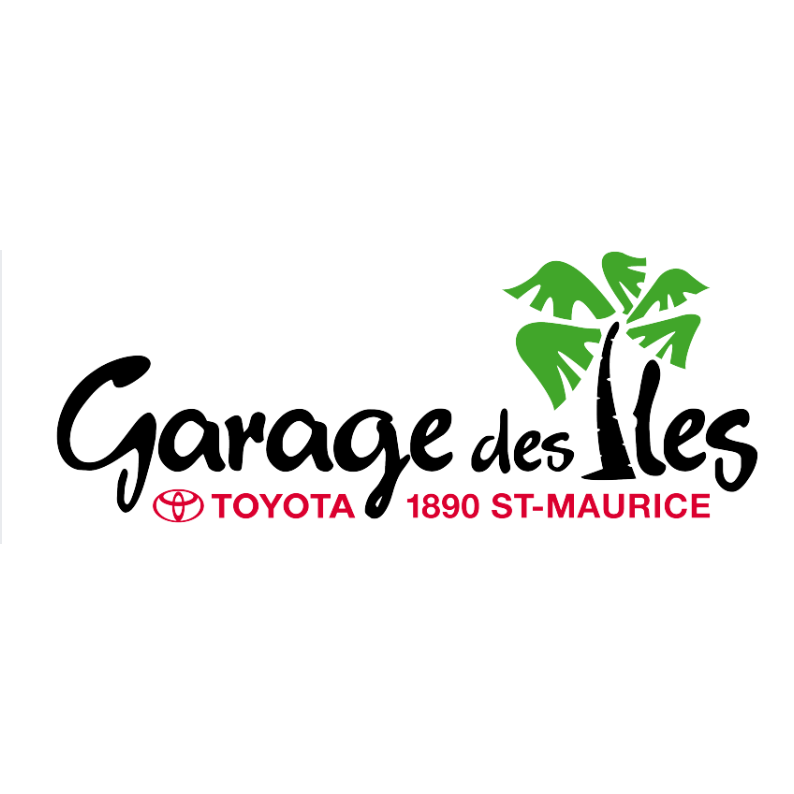 Garage des Iles SA Logo