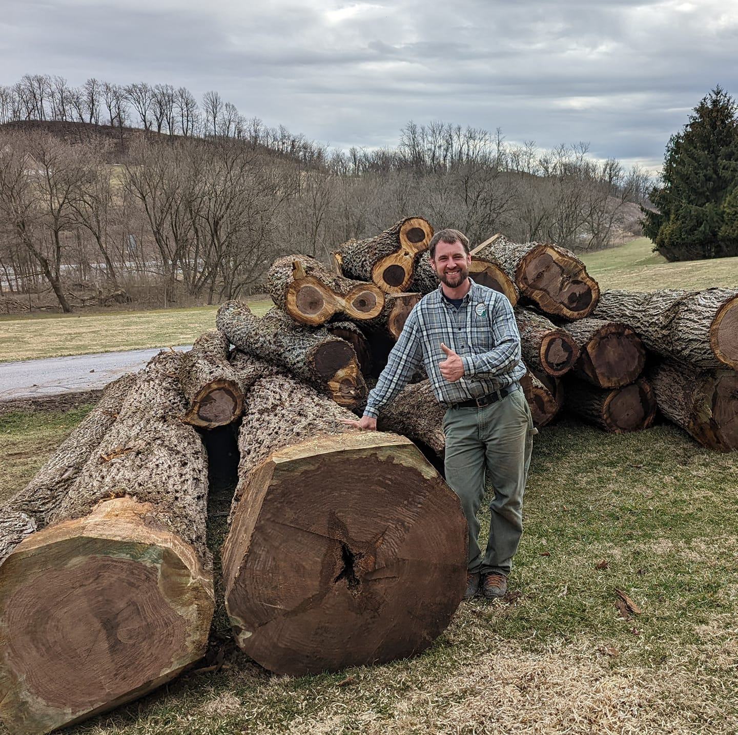 Lofty Heights Tree Care Image