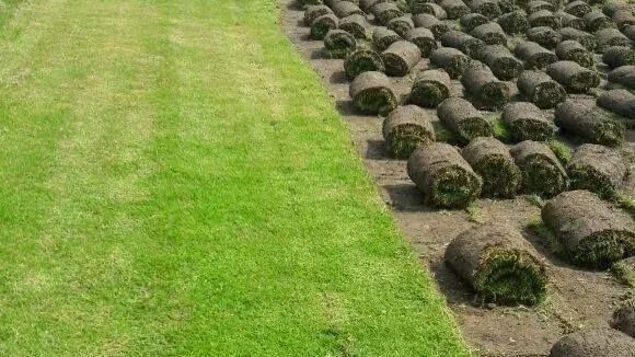 Images Pasto En Rollo Rancho Aranda