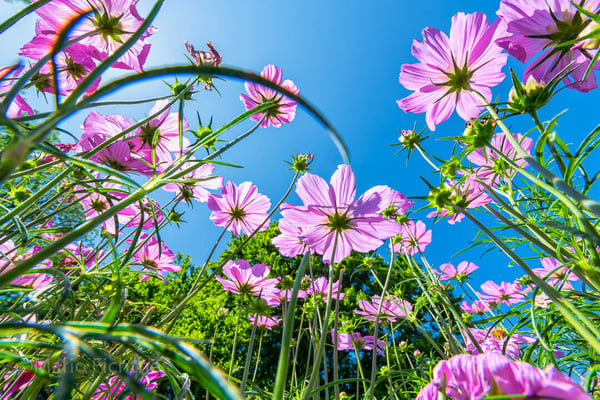 Bilder Fichtner Fotodesign