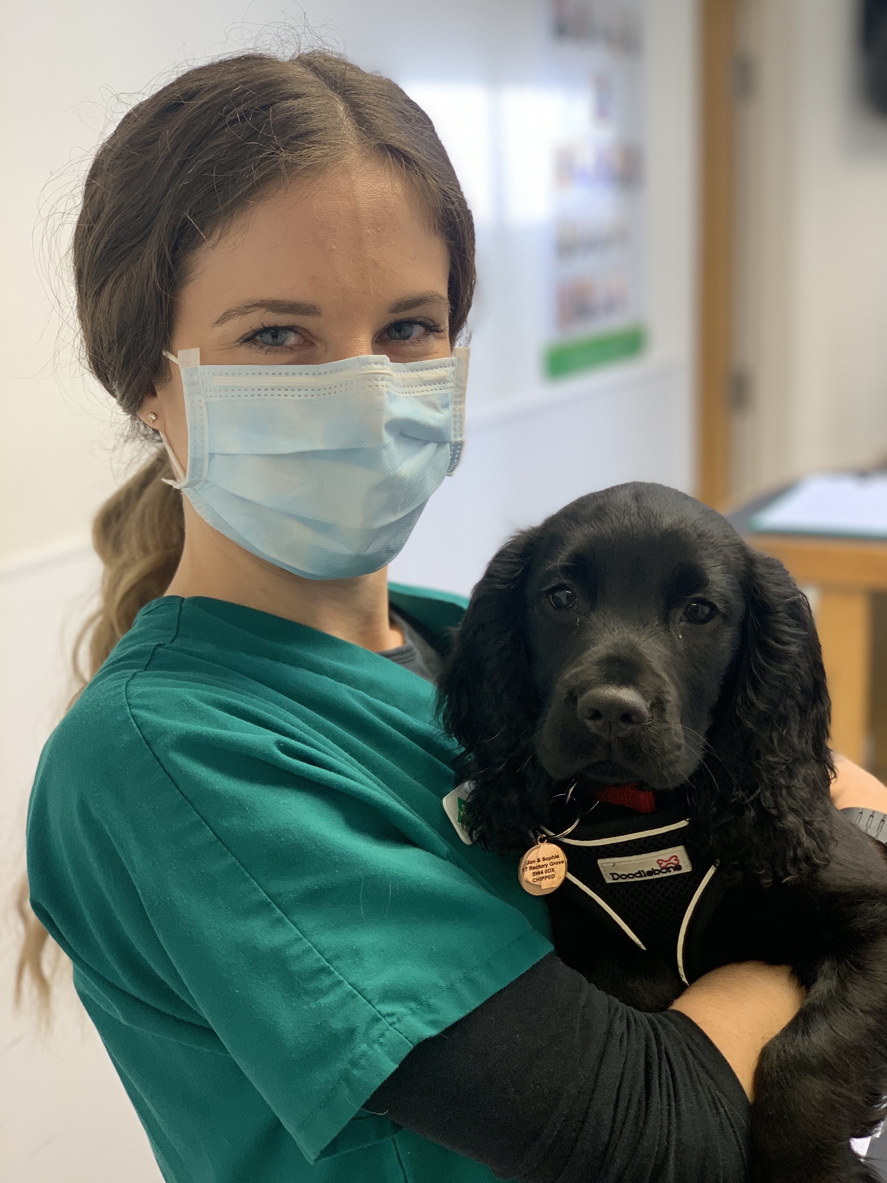 Images Streatham Hill Veterinary Surgery