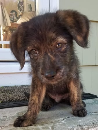 Images Cindy Donaldson: Allstate Insurance