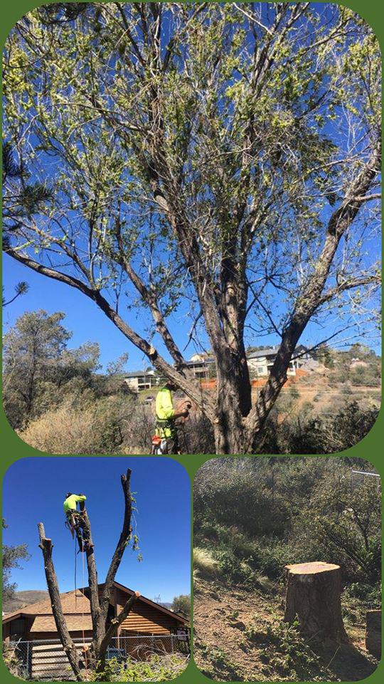 Ketner Tree and Landscaping LLC Logo