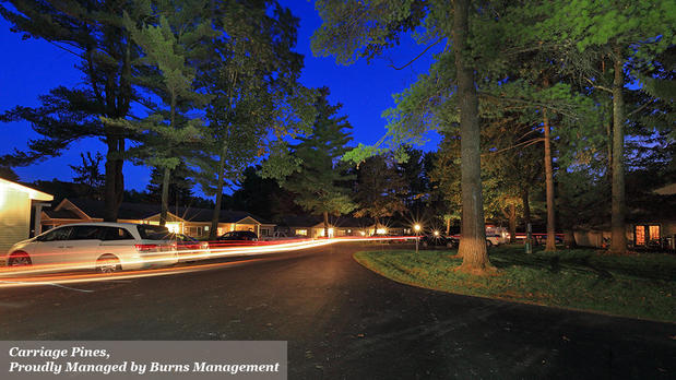 Images Burns Management