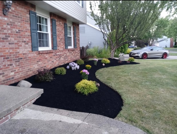 Images Modern Landscape & Maintenance