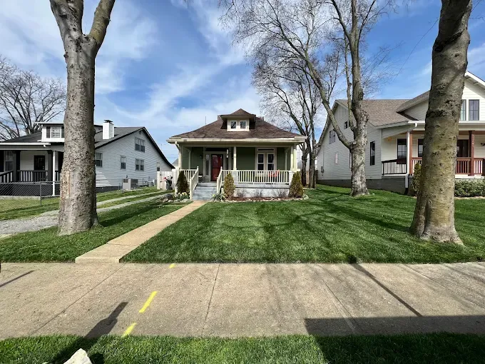 Images Green Leaves Lawn Care