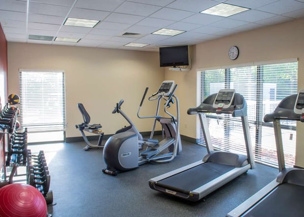 Images Hampton Inn Tampa-Veterans Expwy (Airport North)
