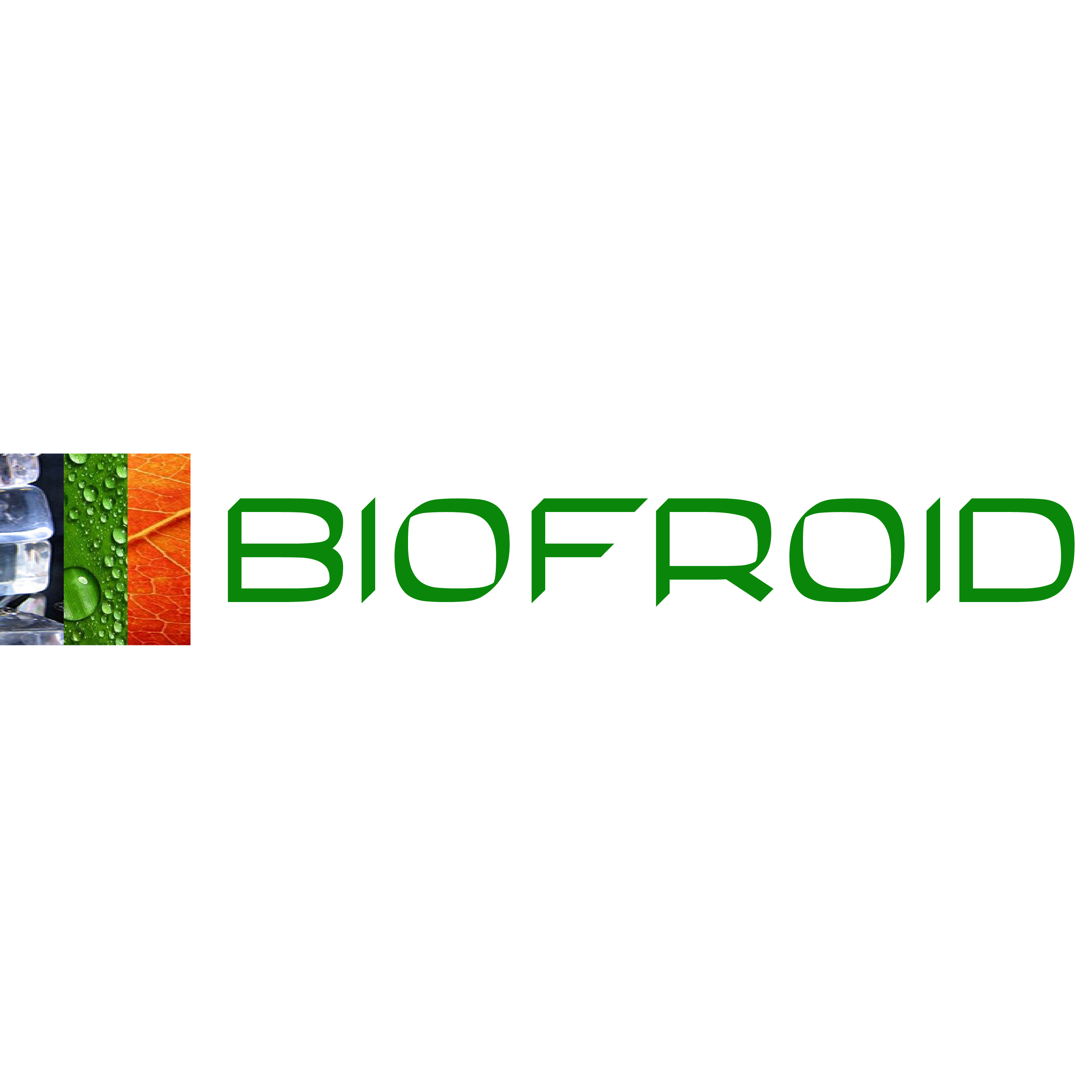 BIOFROID SA Logo